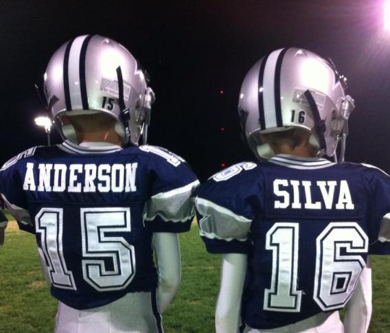 Фанаты Андерсона Силвы