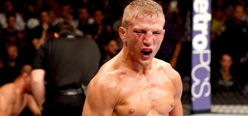 Ти Джей Диллашоу