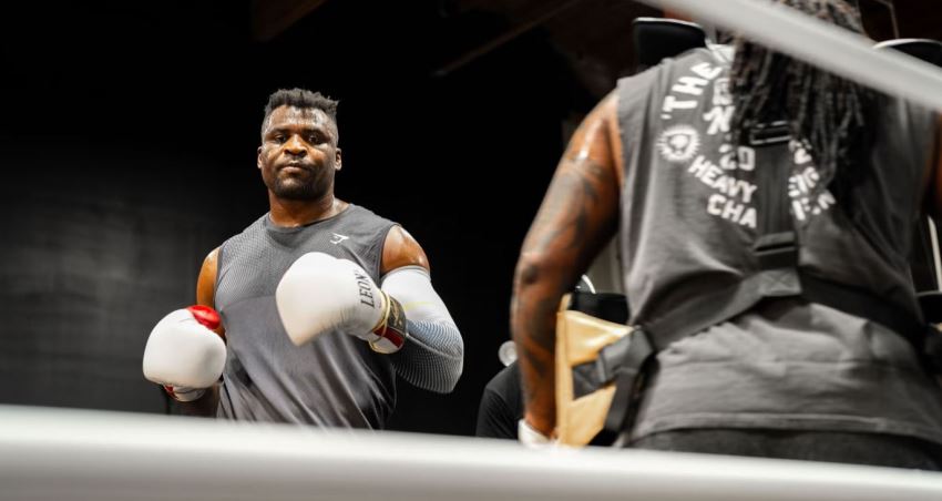 Фрэнсис Нганну Фрэнсис Нганну