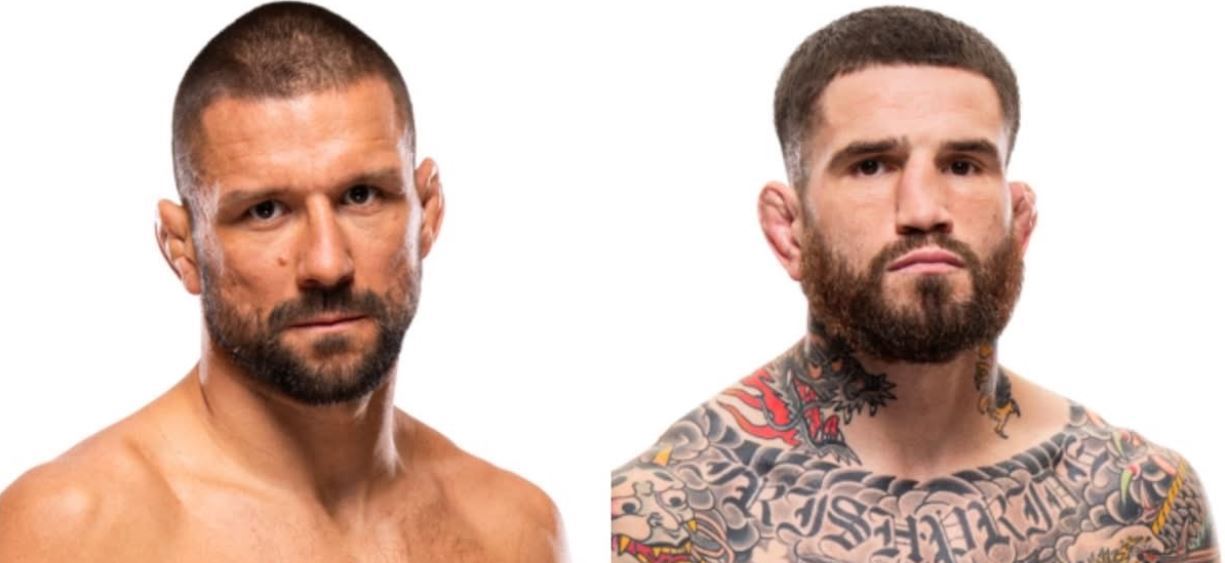 Матеуш Гамрот бросил вызов Шону Брэди